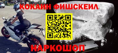 крисы Шахты