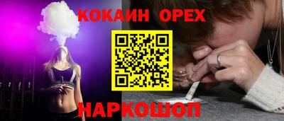 крисы Шахты