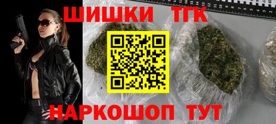 крисы Шахты