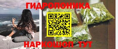 мдпв Шелехов