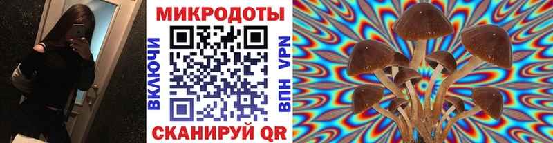 закладки  Можайск  Галлюциногенные грибы GOLDEN TEACHER 