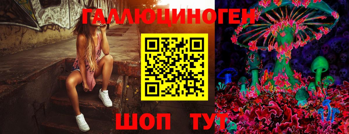 Галлюциногенные грибы Cubensis Можайск