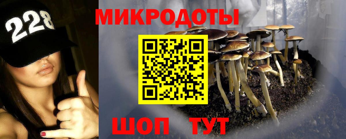 Псилоцибиновые грибы мухоморы  Вход с VPN  Можайск 